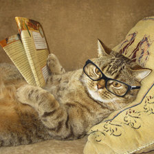 Схема вышивки «№1784741»