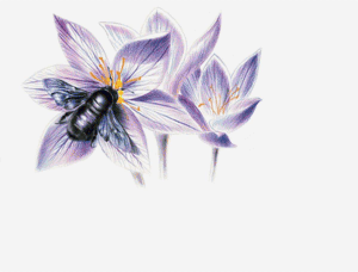 Жук на цветке - предпросмотр