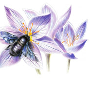 Схема вышивки «Жук на цветке»