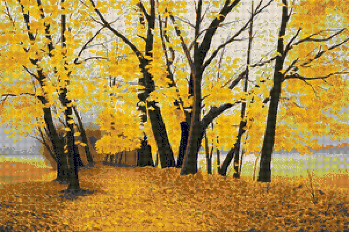 Осенний лес - желтое, лес, осень, природа - предпросмотр