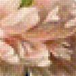 Предпросмотр схемы вышивки «БУКЕТ ЦВЕТОВ» (№1785717)