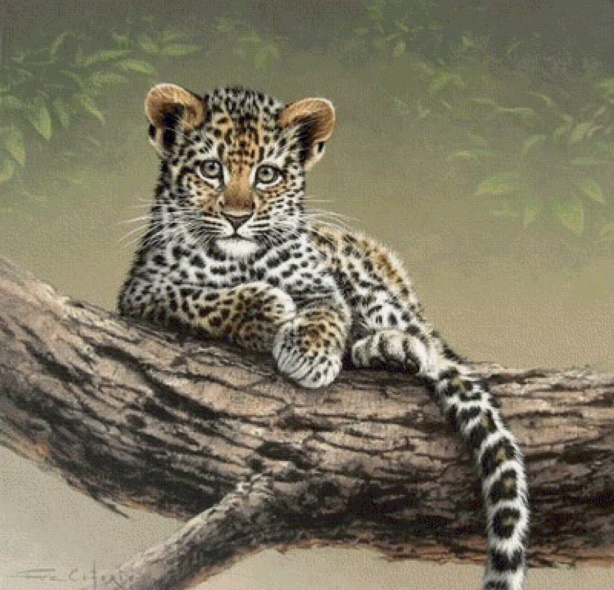 ДИКАЯ КОШКА - кошка, дикие животные, природа - предпросмотр