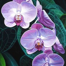 Схема вышивки «№1785777»