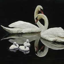 Схема вышивки «Худ. Ричард Мравик. Лебеди»