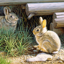 Схема вышивки «Худ. П. Крапф»