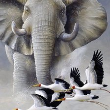 Схема вышивки «Африка»