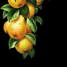 Схема вышивки «Груши»