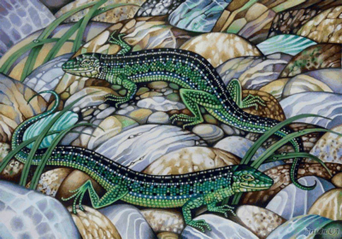 Две изумрудные ящерки - ящерица, камни - предпросмотр