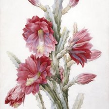 По картине Пьера-Жозефа Ретуде