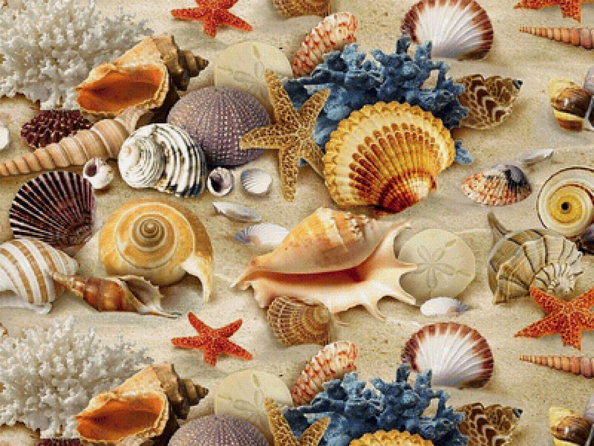 Дары моря и времени - морские раковины, звезды, кораллы - предпросмотр