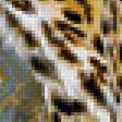 Предпросмотр схемы вышивки «Леопарды» (№1786369)