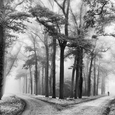 Схема вышивки «№1786398»