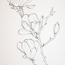 Схема вышивки «Магнолия»