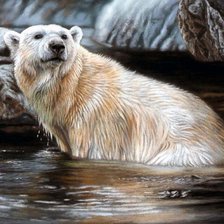 Схема вышивки «Худ. Кристина Скулте»