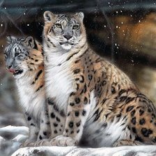 Схема вышивки «Худ. Кристина Скулте»