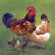 Схема вышивки «Худ. Яна Мовчан»