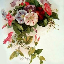 Схема вышивки «Вьюнки»