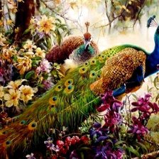 Схема вышивки «павлины»