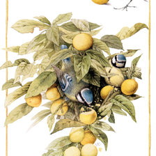 Схема вышивки «Чудесная ветвь»