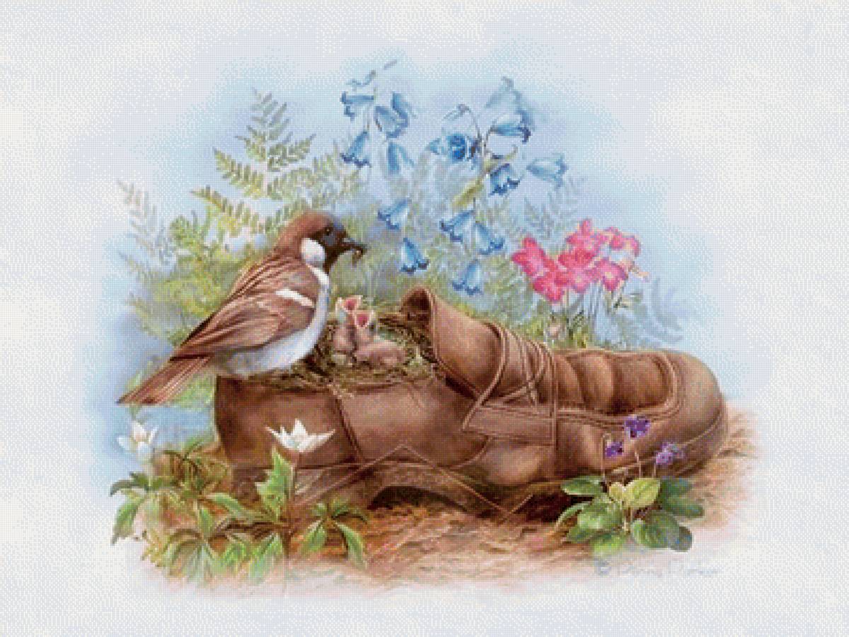 Необычное гнездо - птицы, башмак, гнездо - предпросмотр