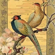 Схема вышивки «Фазаны»