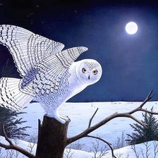 Схема вышивки «Худ. Род Фредерик. Полярная ночь»