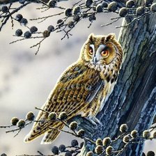 Схема вышивки «Филин»