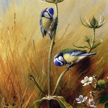 Схема вышивки «Синички в поле»