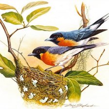 Схема вышивки «Гнездо»