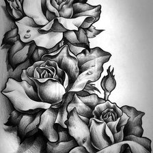 Схема вышивки «розы»