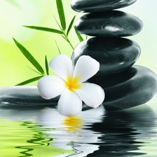 Схема вышивки «Отражение»