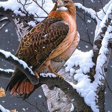 Схема вышивки «ястреб»