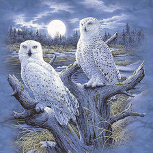 Схема вышивки «Полярная ночь»