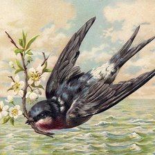 Схема вышивки «Ласточка с весною в сени к нам летит»