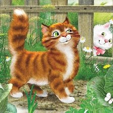 кот и кошка