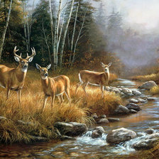 Схема вышивки «Худ. Розмари Милетт»