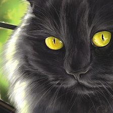 Схема вышивки «кот»