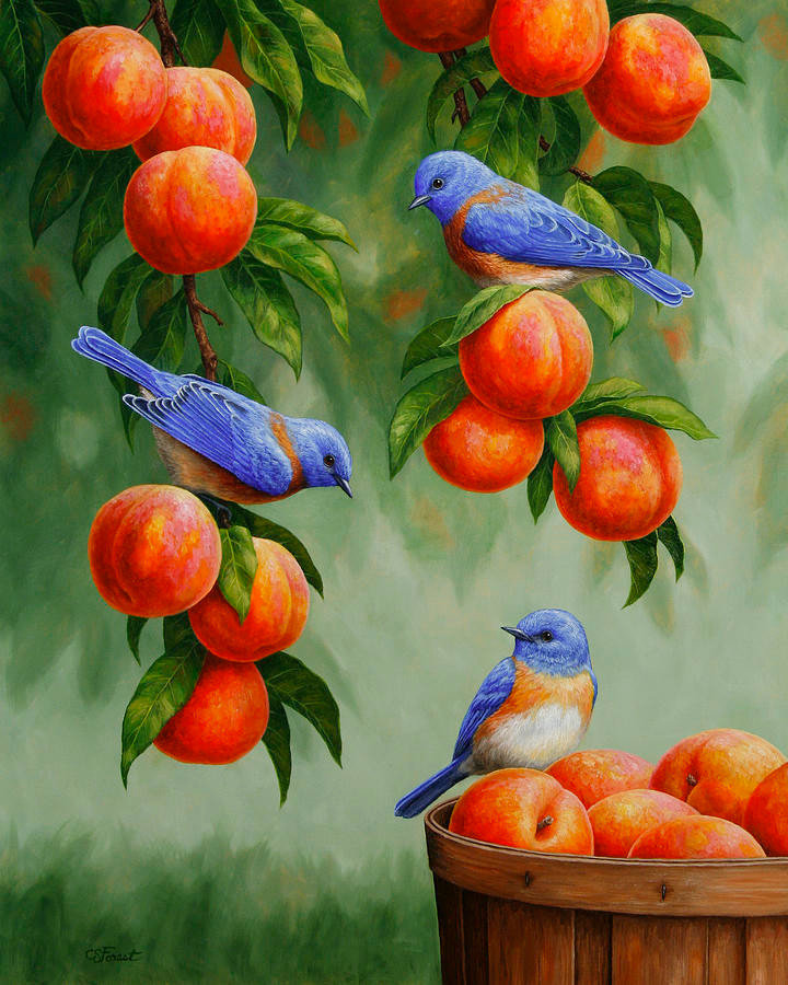 Серия Птицы - природа, птицы - оригинал