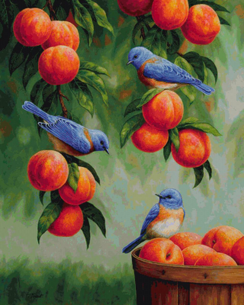 Серия Птицы - природа, птицы - предпросмотр