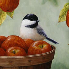 Схема вышивки «Серия Птицы»