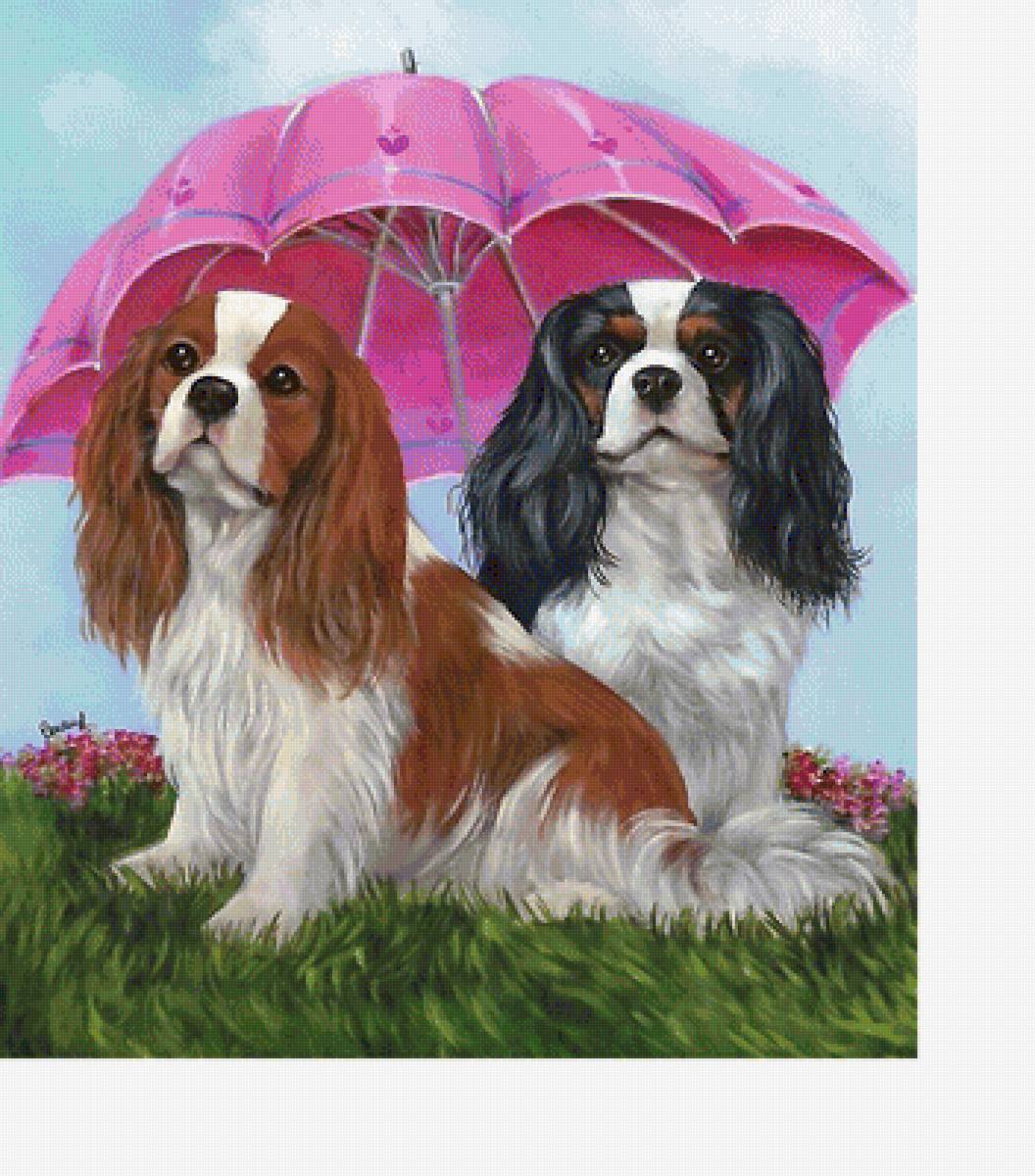 собаки - собаки - предпросмотр