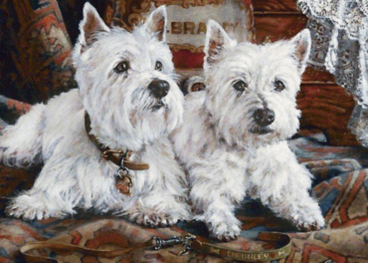 собаки - собаки - предпросмотр