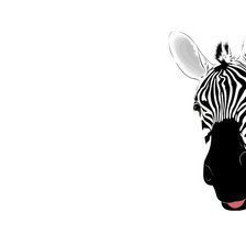 Схема вышивки «зебра»