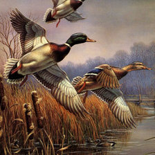 Схема вышивки «Утки»