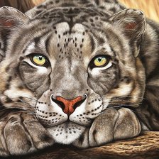 Схема вышивки «№1791281»