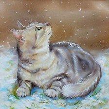 Схема вышивки «кот»