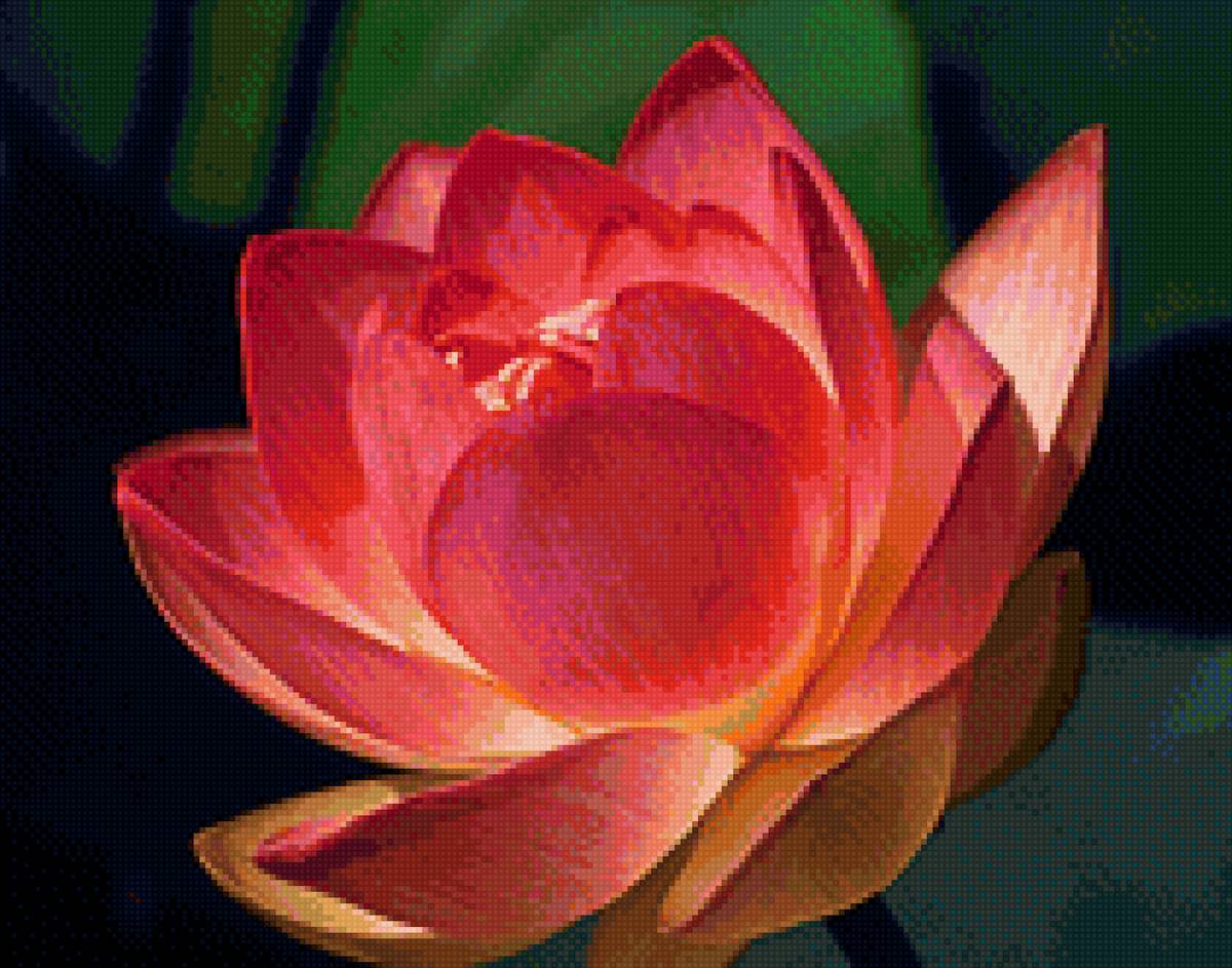 Красный лотос - цветок, лотос, природа - предпросмотр