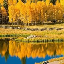 Схема вышивки «золота осінь»