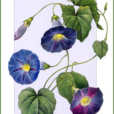 Схема вышивки «По картине Пьера-Жозефа Ретуде»