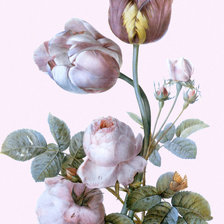 Схема вышивки «По картине Пьера-Жозефа Ретуде»